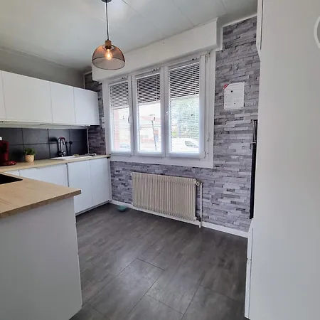 Spacieux A 700m De La Avec Jardin, Terrasses Et Garage - Malo-les-bains, Dunkerque - Fr-1-510-212