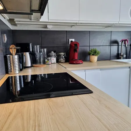 Ferienhaus Spacieux A 700m De La Avec Jardin, Terrasses Et Garage - Malo-les-bains, Dunkerque - Fr-1-510-212 Dunkirk